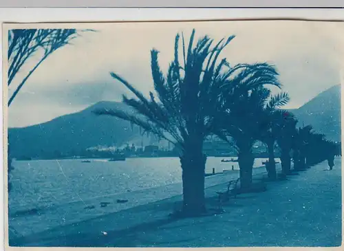 (F6450) Orig. Foto Riviera, Blick zum Kriegshafen La Spezia 1932