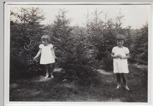 (F6257) Orig. Foto Finsterbergen, 2 kleine Mädels im Nadelwald, 1929