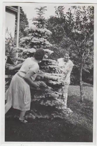 (F6242) Orig. Foto Finsterbergen, Frauen im Garten von Villa Ingeborg 1929