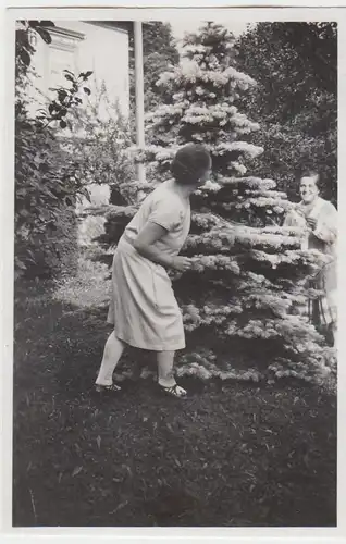 (F6241) Orig. Foto Finsterbergen, Frauen im Garten von Villa Ingeborg 1929