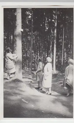 (F6210) Orig. Foto Finsterbergen, Damen im Wald, Spaziergang zum Spießberg, 1929