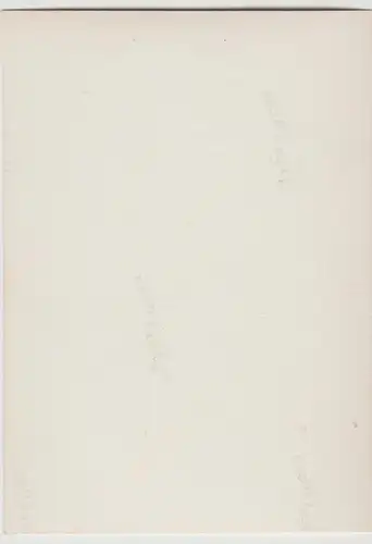 (F6169) Orig. Foto Frau am Waldrand, Spaziergang, vor 1945