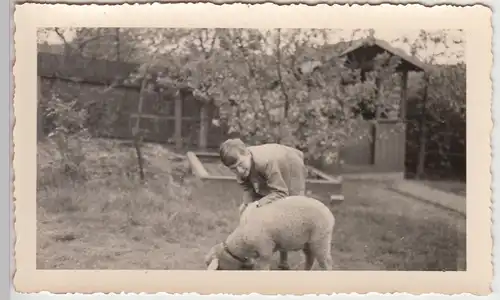 (F5995) Orig. Foto Junge mit Schaf im Garten
