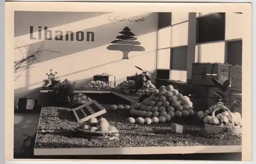 (F5847) Orig. Foto Ausstellung, Messestand, Früchte aus Libanon, nach 1945