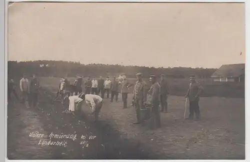 (F5796) Orig. Foto 1.WK Armierungs-Batl. 55, bei der Landarbeit, um 1916
