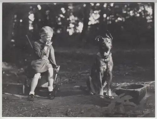(F5757) Orig. Foto Mädchen auf Wägelchen mit Hund im Wald, vor 1945