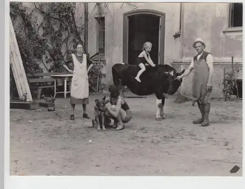 (F5756) Orig. Foto Haushof, Bauernhof, Mädchen reitet auf Rind, vor 1945