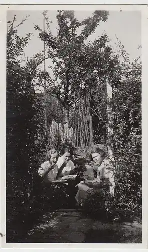 (F5634) Orig. Foto Harburg, Frauen beim Picknick, 1935