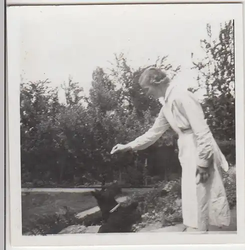 (F5516) Orig. Foto junge Frau fütter Hund, 1940/50er