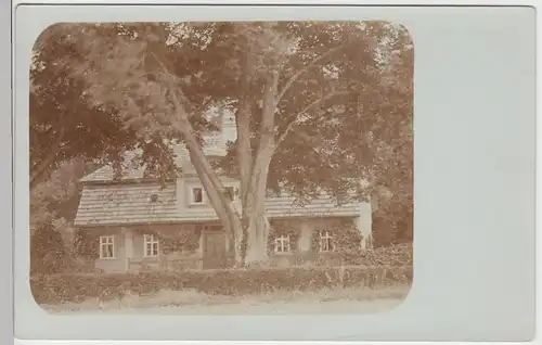 (F5226) Orig. Foto Haus, Gebäude im Wald, unbekannter Ort vor 1905