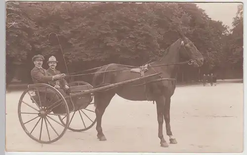 (F5109) Orig. Foto Einachsiges Pferdegespann, Einspänner, Berlin vor 1945