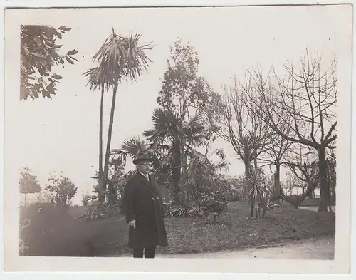 (F4675) Orig. Foto Locarno, Herr vor Palme, März 1926