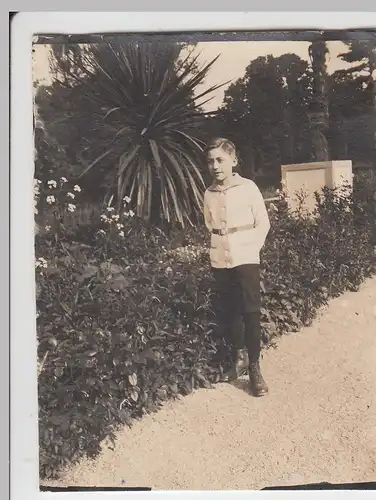 (F4660) Orig. Foto Bad Pyrmont, Junge im Palmengarten, Pfingsten 1924