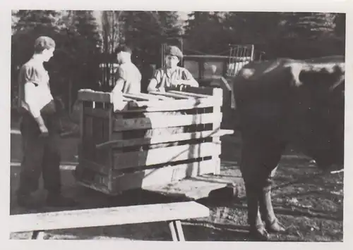(F4276) Orig. Foto Männer mit Holzkiste, Viehtransport 1940er
