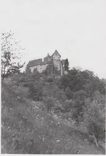 (F4139) Orig. Foto Burg Rothenfels