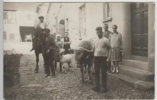 (F3564) Orig. Foto Personen m. Pferd, Ziege u. Kalb i. Vierseitenhof vor 1920
