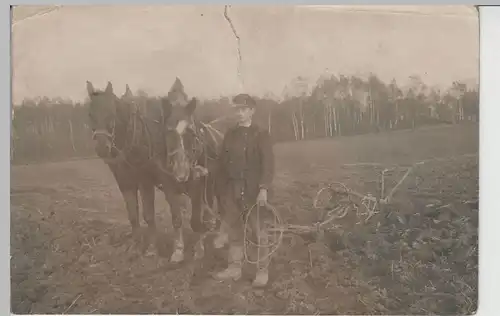 (F3521) Orig. Foto Bauer mit Pferden und Pflug auf Feld, um 1920