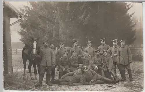 (F3504) Orig. Foto 1.WK Soldaten Gruppenfoto mit Pferd, Feldpost 1914-18