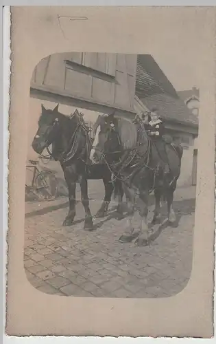 (F3492) Orig. Foto kl. Junge sitzt auf Pferd, Pferdegespann vor 1945