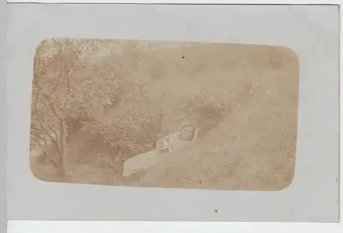 (F3090) Orig. Foto Frau mit Hund liegt im Gras, vor 1920