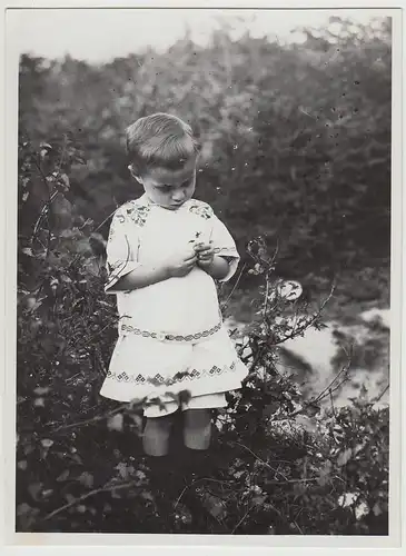(F30891) Orig. Foto Kind an Sträuchern 1912