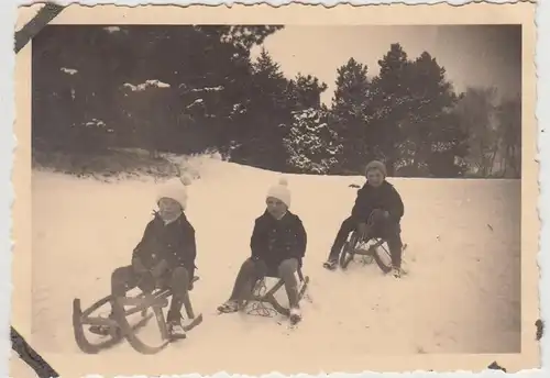 (F30801) Orig. Foto Magdeburg, Schlittenfahrt im Stadtpark 1930