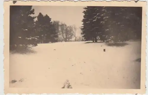 (F30796) Orig. Foto Magdeburg, Winterpartie im Stadtpark 1930