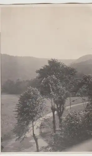 (F30785) Orig. Foto Wernigerode, Ausblick vom Hotelfenster 1930