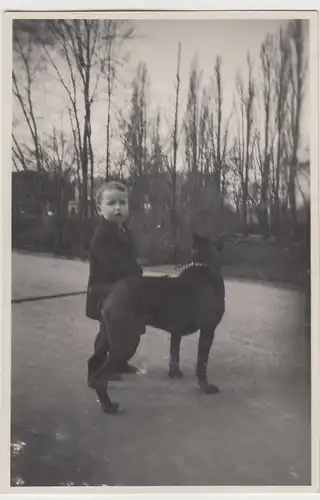 (F30753) Orig. Foto Kind mit Hund Asso in Magdeburg 1929
