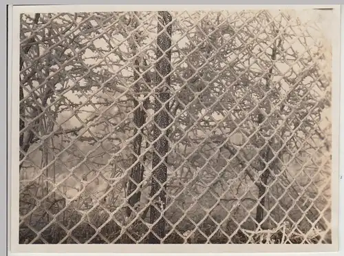 (F30573) Orig. Foto Hannover, Winterreif am Zaun im Maschpark 1930