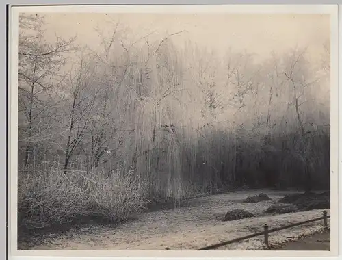 (F30568) Orig. Foto Hannover, Partie im Maschpark 1930