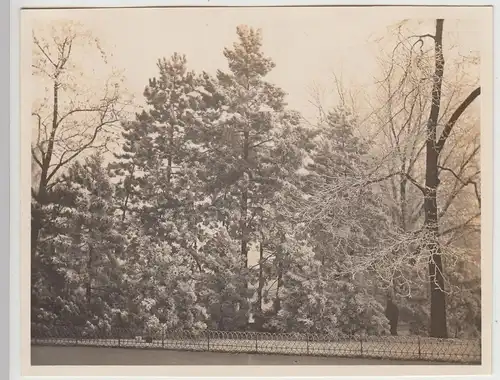 (F30567) Orig. Foto Hannover, Partie im Maschpark 1930