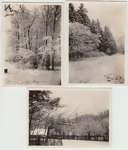 (F30560) 3x Orig. Foto Winterimpressionen an der Deister 7.12.1930