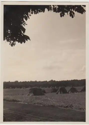 (F30555) Orig. Foto Wennigsen, Partie mit Feld 1930