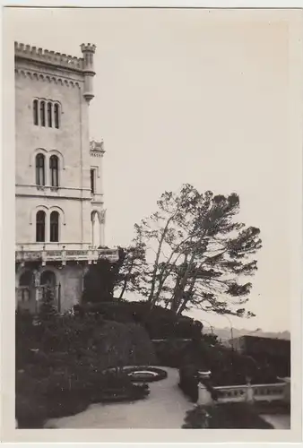 (F30547) Orig. Foto Triest, schiefe Bäume am Schloss Miramare 1930