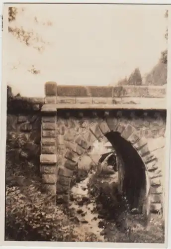 (F30507) Orig. Foto kleine Brücke (vermutl. im Schwarzwald) 13.8.1929