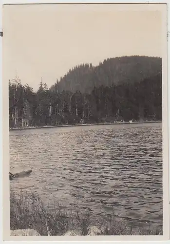 (F30506) Orig. Foto Feldsee im Schwarzwald 1929