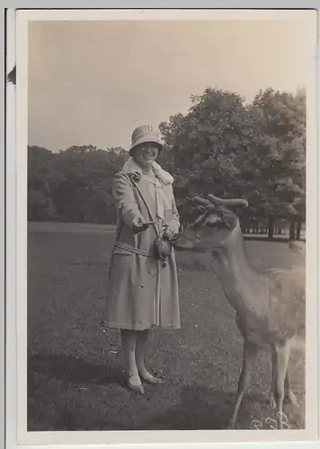 (F30497) Orig. Foto Frau füttert Hirsch im Tiergarten Hannover 1929