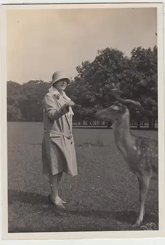 (F30496) Orig. Foto Frau füttert Hirsch im Tiergarten Hannover 1929