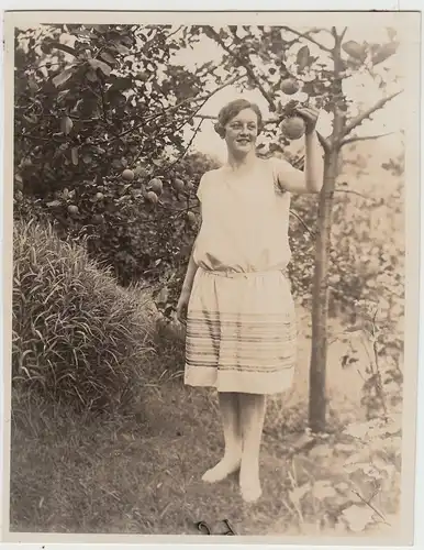 (F30478) Orig. Foto junge Frau Trudel am Apfelbaum 1927