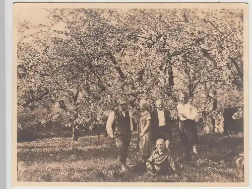 (F30454) Orig. Foto Personen unter blühenden Baum in Neuhof 1928