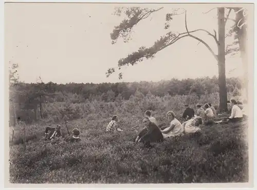 (F30439) Orig. Foto Wedemark, Wanderer rasten am Brelinger Berg 4.9.1927