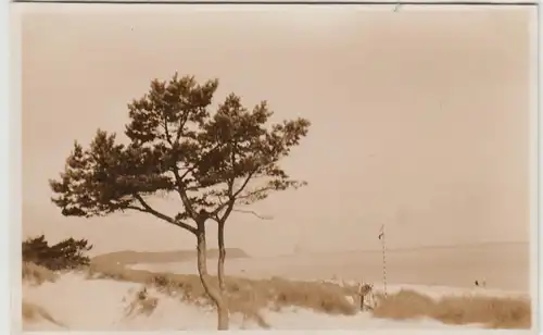 (F30405) Orig. Foto Rügen, Strand bei Göhren 1930