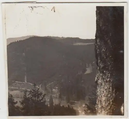(F30391) Orig. Foto Blick vom Fuchsstein b. Tabarz 1930