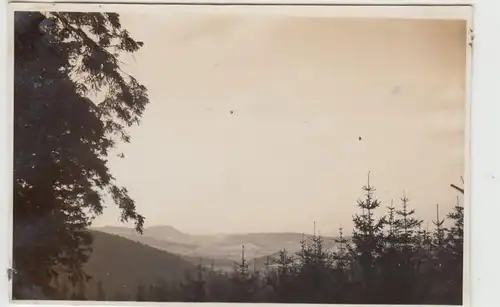 (F30389) Orig. Foto Zimmerberg b. Tabarz, Blick z. Wartburg 1930
