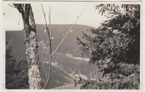 (F30387) Orig. Foto Tabarz, Blick vom Inselsberg 1930