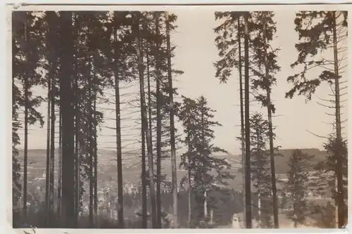 (F30386) Orig. Foto Blick auf Tabarz 1929