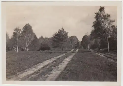 (F30296) Orig. Foto Weesen, Heideweg bei Hermannsburg 1930