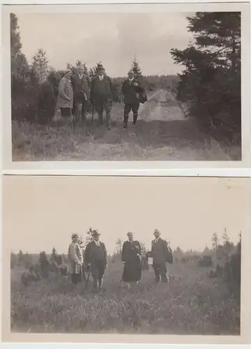 (F30295) 2x Orig. Foto Hermannsburg, Lüneburger Heide, Spaziergang 1930