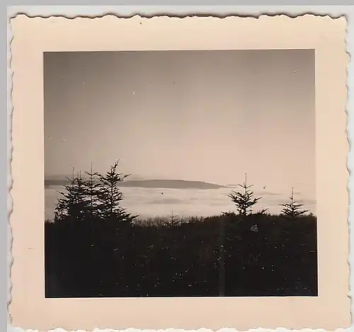 (F30033) Orig. Foto Odenwald im Winternebel 1936